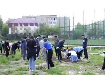 50 ТҮП КӨШЕТ ОТЫРҒЫЗЫЛДЫ