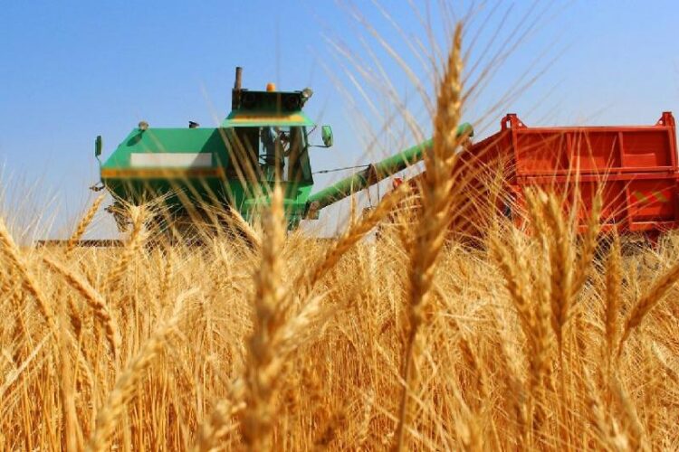 ЖОҒАРЫ СҰРЫПТЫ МАҚТА ЕГІЛЕТІН БОЛДЫ