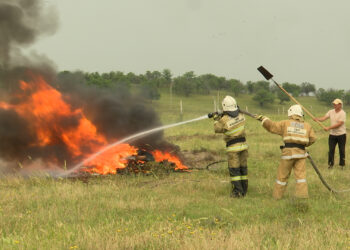 СЫБАЙЛАС ЖЕМҚОРЛЫҚҚА ҚАРСЫ ТҮРЛІ ЖҰМЫСТАР ЖҮРГІЗІЛУДЕ