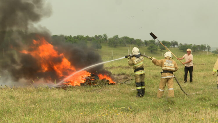 СЫБАЙЛАС ЖЕМҚОРЛЫҚҚА ҚАРСЫ ТҮРЛІ ЖҰМЫСТАР ЖҮРГІЗІЛУДЕ