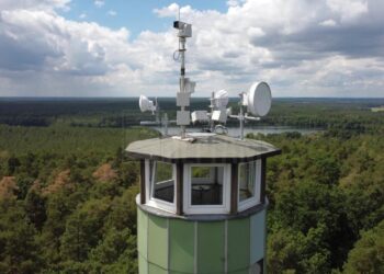 ОРМАН ӨРТТЕРІН ЖЕДЕЛ АНЫҚТАУ ҮШІН ЖАҢА ТЕХНОЛОГИЯЛАРДЫ ЕНГІЗУ ҚАЖЕТ