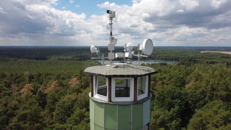 ОРМАН ӨРТТЕРІН ЖЕДЕЛ АНЫҚТАУ ҮШІН ЖАҢА ТЕХНОЛОГИЯЛАРДЫ ЕНГІЗУ ҚАЖЕТ