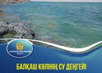 БАЛҚАШ КӨЛІНІҢ СУ ДЕҢГЕЙІ ТАҒЫ 8 СМ КӨТЕРІЛДІ