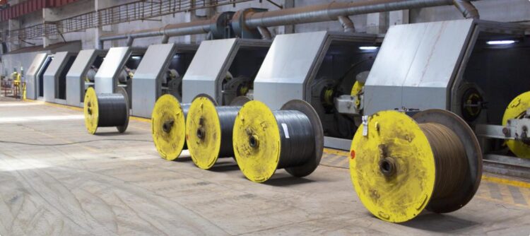 ҚАРАҒАНДЫЛЫҚ ЗАУЫТ ЖЫЛЫНА 30 МЫҢ ТОННА ӨНІМ ӨНДІРЕДІ