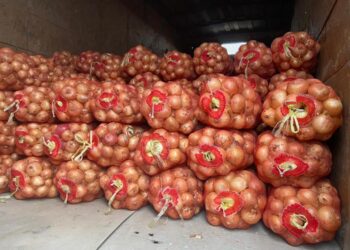 ҚЫЗЫЛОРДА ОБЛЫСЫНА ЕРТЕ ПІСЕТІН КӨКӨНІСТЕР ЖЕТКІЗІЛЕ БАСТАДЫ