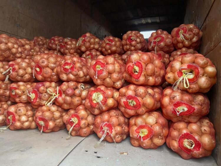 ҚЫЗЫЛОРДА ОБЛЫСЫНА ЕРТЕ ПІСЕТІН КӨКӨНІСТЕР ЖЕТКІЗІЛЕ БАСТАДЫ