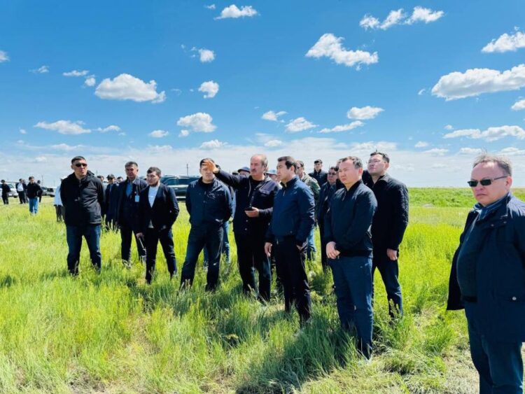 АҚТӨБЕ, ҚОСТАНАЙ ЖӘНЕ ҚАРАҒАНДЫ ОБЛЫСТАРЫНДА 7,5 МЛН ГА ЖЕРГЕ ЕГІН ЕГІЛЕДІ