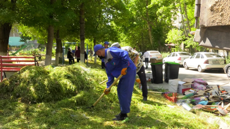 АРДАГЕРЛЕРДІҢ АУЛАСЫ АБАТТАНДЫРЫЛДЫ