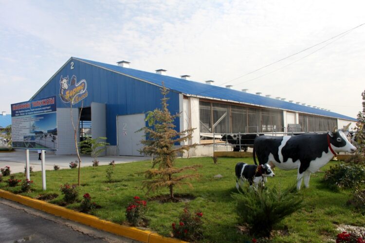 ОРДАЛЫ МЕКЕНГЕ 60 ЖЫЛ