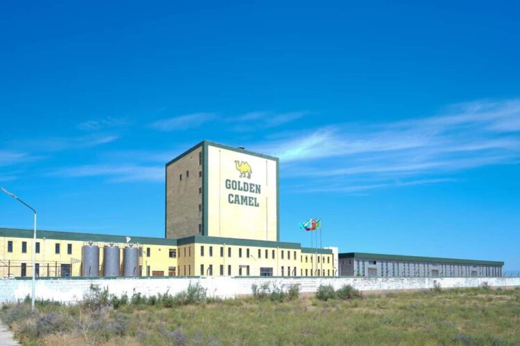 ӨНЕРКӘСІПТІ ӨРКЕНДЕТУ — ӨҢІРДІҢ ӘЛЕУЕТІН КӨТЕРЕДІ