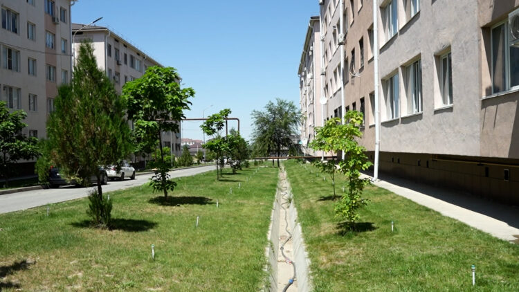 ТАЗА АУЛА ӨЗІМІЗДЕН БАСТАЛАДЫ