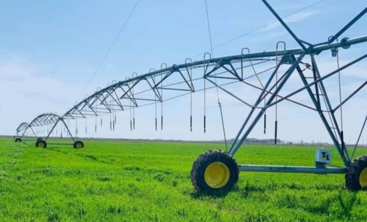 КӘСІПКЕРЛІКТІ ДАМЫТУ — ЕЛДІҢ ӨРКЕНДЕУІ