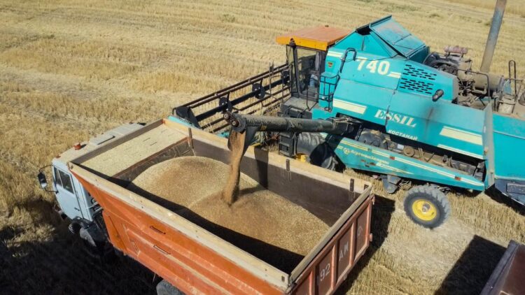 ҚЫРМАНҒА ОРАҚ ТҮСТІ