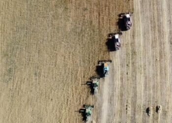 ҚЫРМАНҒА ОРАҚ ТҮСТІ