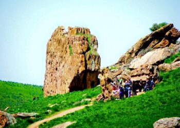 ҰЛЫТАУЛЫҚ ДЕЛЕГАЦИЯ ОҢТҮСТІК ӨҢІРДЕ