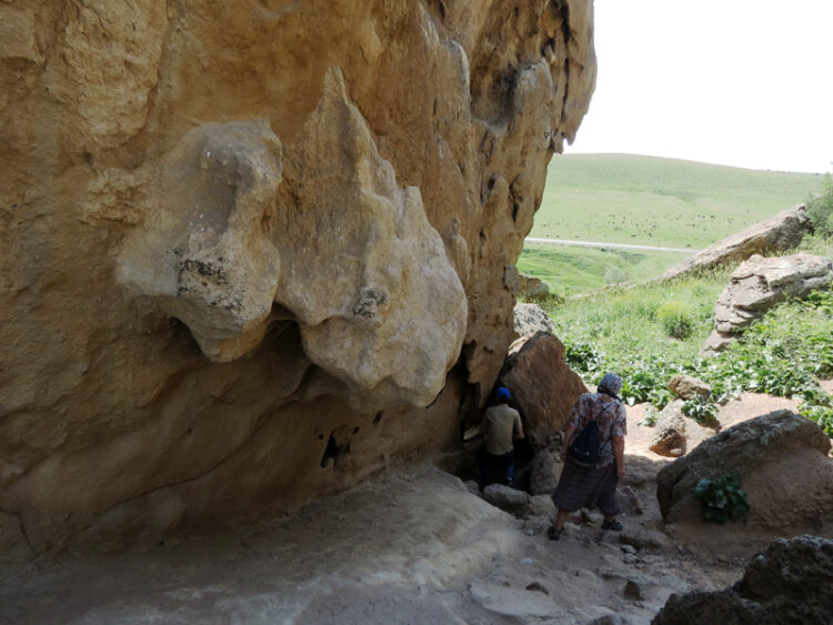 ҰЛЫТАУЛЫҚ ДЕЛЕГАЦИЯ ОҢТҮСТІК ӨҢІРДЕ