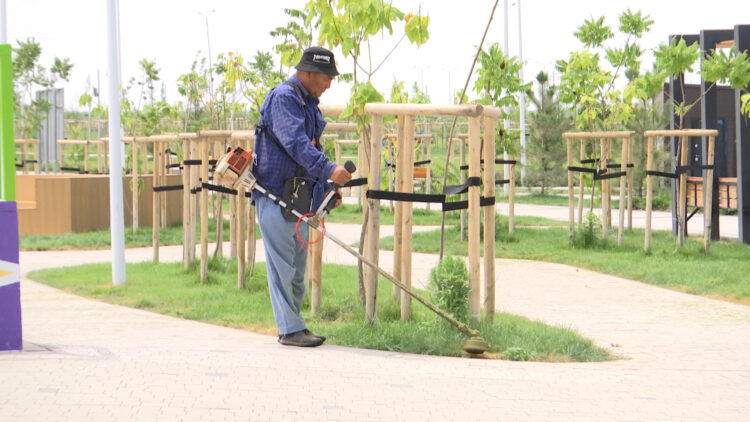 ЖАҢА САЯБАҚ ҚОҚЫСТАН ТАЗАРТЫЛДЫ