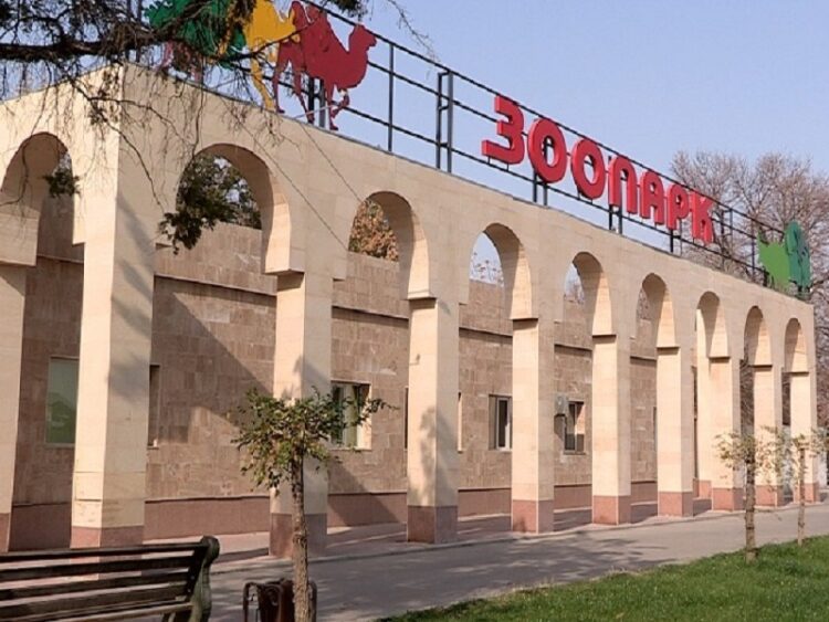 МЕГАПОЛИСТЕГІ ЖЕТІ КӨРНЕКТІ ОРЫН