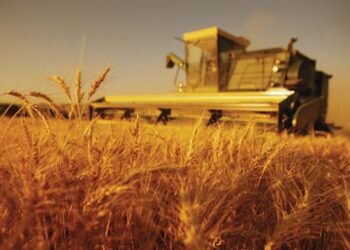 ҚАЗАҚСТАНДА 2,4 МЛН ТОННАҒА ЖУЫҚ АСТЫҚ БАСТЫРЫЛДЫ