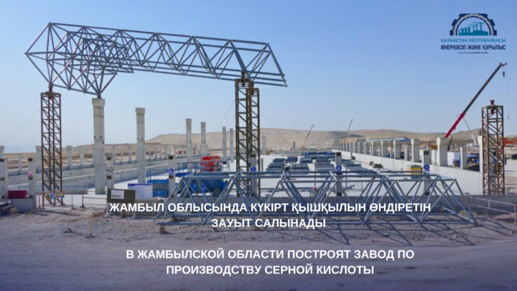 ЖАМБЫЛ ОБЛЫСЫНДА КҮКІРТ ҚЫШҚЫЛЫН ӨНДІРЕТІН ЗАУЫТ САЛЫНАДЫ