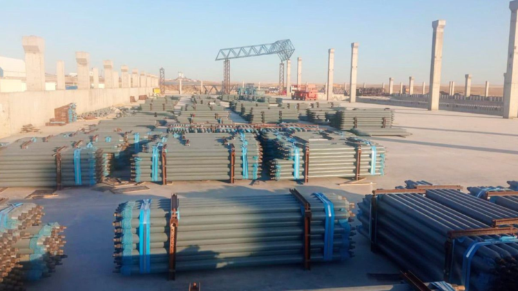 ЖАМБЫЛ ОБЛЫСЫНДА КҮКІРТ ҚЫШҚЫЛЫН ӨНДІРЕТІН ЗАУЫТ САЛЫНАДЫ