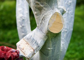 «ТАЗА ҚАЗАҚСТАН» АКЦИЯСЫ ЖАЛҒАСУДА