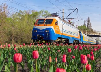 «АЛАТАУ» ЖҮРДЕК ПОЙЫЗЫ ҚАЛАЙ ПАЙДА БОЛДЫ?