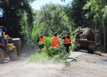 ТАЗА ҚАЗАҚСТАН