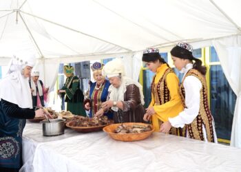 ӘКІММЕН КЕЗДЕСУДЕ ҚОЗҒАЛҒАН ӨЗЕКТІ МӘСЕЛЕЛЕР