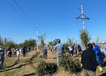 “АБАЙ ОҚУЛАРЫ”  ӨЗ МӘРЕСІНЕ ЖЕТТІ