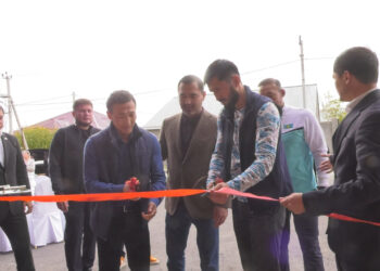 БАЛУАНДЫ ҚОШЕМЕТПЕН ҚАРСЫ АЛДЫ