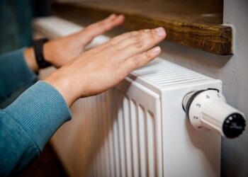 ЖЫЛЫТУ МАУСЫМЫНА ДАЙЫНДЫҚ ҚАЛАЙ?