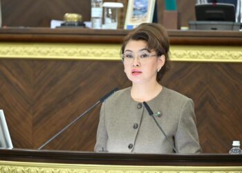 МӘЖІЛІСТЕ АҚПАРАТ, ҚОҒАМДЫҚ ДАМУ, МӘДЕНИЕТ ЖӘНЕ АРХИВ ІСІ САЛАЛАРЫНДА ЗАҢНАМАЛЫҚ РЕТТЕУДІ ЖЕҢІЛДЕТУГЕ БАҒЫТТАЛҒАН ЗАҢ ЖОБАСЫ ТАНЫСТЫРЫЛДЫ