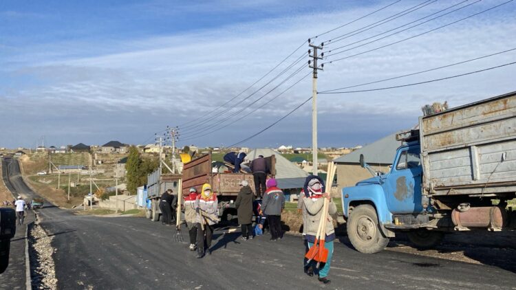 3000 ТҮП АҒАШ ОТЫРҒЫЗЫЛДЫ