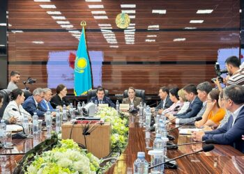 ШАҺАРДЫҢ БІРЫҢҒАЙ ДИЗАЙН КОДЫН МӘСЛИХАТ БЕКІТЕДІ