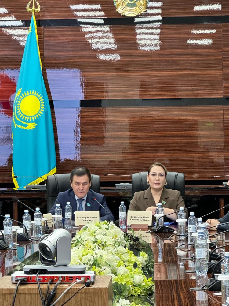 ШАҺАРДЫҢ БІРЫҢҒАЙ ДИЗАЙН КОДЫН МӘСЛИХАТ БЕКІТЕДІ