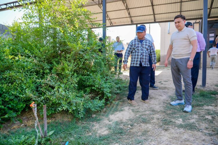 ТЕКЕСУ ТҰРҒЫНДАРЫ АУЫЗ СУҒА ҚОЛ ЖЕТКІЗДІ