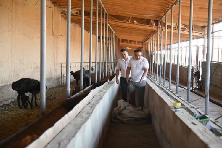 АУЫЛ ШАРУАШЫЛЫҒЫ САНАҒЫ БАСТАЛДЫ