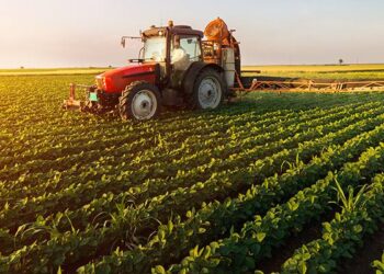 АУЫЛ ШАРУАШЫЛЫҒЫНЫҢ ЖАҢА БАҒЫТТАРЫ