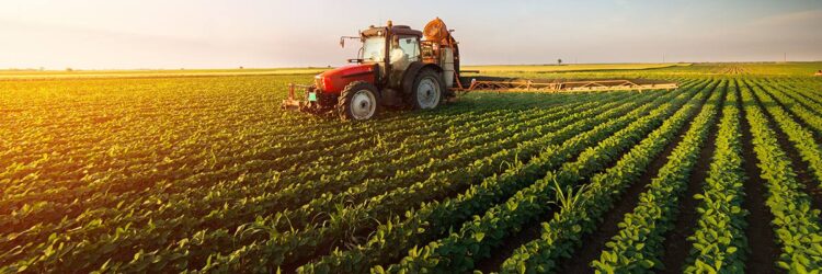 АУЫЛ ШАРУАШЫЛЫҒЫНЫҢ ЖАҢА БАҒЫТТАРЫ