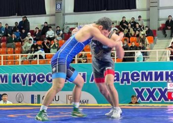 МӘСЕЛЕЛЕР ПАРТИЯНЫҢ НАЗАРЫНДА