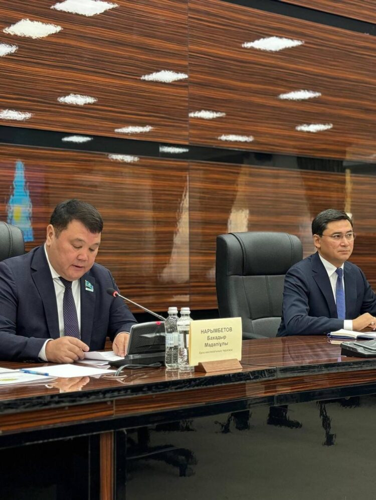 МӘСЛИХАТТЫҢ 30-ШЫ СЕССИЯСЫ ӨТТІ