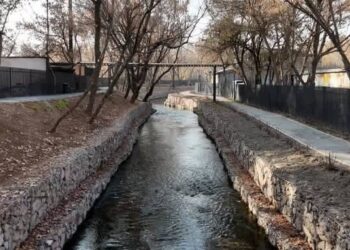 ҚОШҚАР АТА ӨЗЕНІНІҢ БОЙЫ АБАТТАНДЫРЫЛДЫ