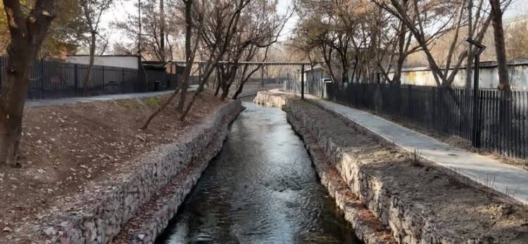 ҚОШҚАР АТА ӨЗЕНІНІҢ БОЙЫ АБАТТАНДЫРЫЛДЫ