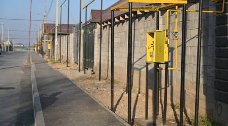 ҚОШҚАР АТА ӨЗЕНІНІҢ БОЙЫ АБАТТАНДЫРЫЛДЫ