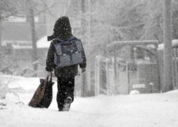 ҚАЗАҚСТАННЫҢ БІРҚАТАР ӨҢІРІНДЕ ОҚУШЫЛАР ҚАШЫҚТАН БІЛІМ АЛУДА