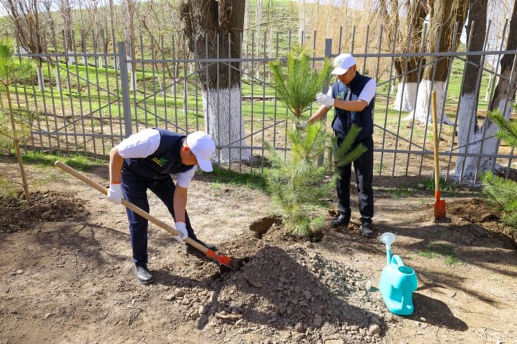 ПРЕЗИДЕНТТІҢ «ТАЗА ҚАЗАҚСТАН» БАСТАМАСЫ: ОЛЖАС БЕКТЕНОВ ТҮРКІСТАН ОБЛЫСЫНДА «МӨЛДІР БҰЛАҚ» АКЦИЯСЫНА ҚАТЫСТЫ