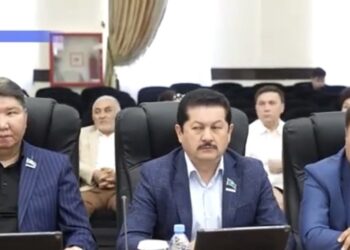 СЕРПІН БЕРЕТІН 8 ШЕШІМ